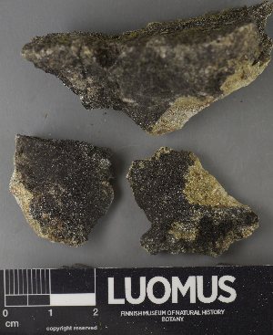 ( - H9237739)  @11 [ ] by-nc (2023) Erkka Laine Luomus