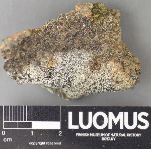  ( - H9237887)  @11 [ ] by-nc (2023) Erkka Laine Luomus