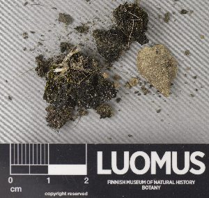  ( - H9238029)  @11 [ ] by-nc (2023) Erkka Laine Luomus
