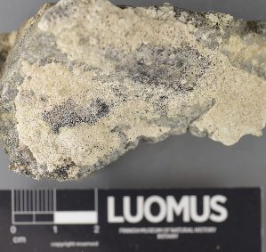  ( - H9238073)  @11 [ ] by-nc (2023) Erkka Laine Luomus