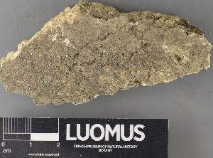  ( - H9238084)  @11 [ ] by-nc (2023) Erkka Laine Luomus