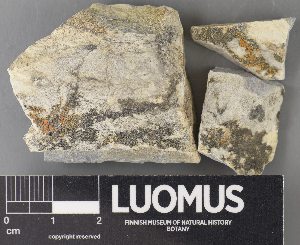  ( - H9238116)  @11 [ ] by-nc (2023) Erkka Laine Luomus