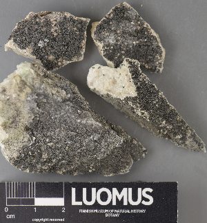  ( - H9238145)  @11 [ ] by-nc (2023) Erkka Laine Luomus