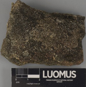  ( - H9243279.1)  @11 [ ] by-nc (2025) Erkka Laine Luomus