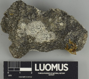  ( - H9247543)  @11 [ ] by-nc (2024) Erkka Laine Luomus