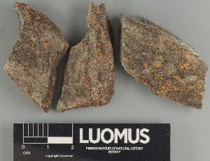  ( - H9247592)  @11 [ ] by-nc (2024) Erkka Laine Luomus