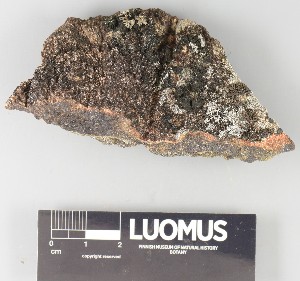  ( - H9250327)  @11 [ ] by-nc (2025) Erkka Laine Luomus