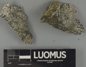  ( - H9250399)  @11 [ ] by-nc (2025) Erkka Laine Luomus