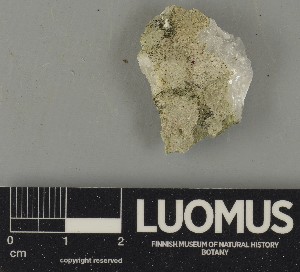  ( - H9250544)  @11 [ ] by-nc (2025) Erkka Laine Luomus