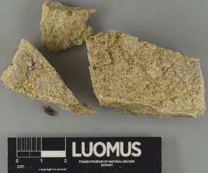  ( - H9250662)  @11 [ ] by-nc (2025) Erkka Laine Luomus