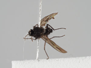  ( - KWi-1059)  @11 [ ] CreativeCommons - Attribution Non-Commercial (2018) Marko Mutanen University of Oulu