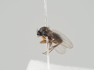  ( - KWi-861)  @11 [ ] CreativeCommons - Attribution Non-Commercial (2018) Marko Mutanen University of Oulu