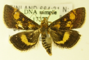  ( - MM17277)  @13 [ ] Unspecified (default): All Rights Reserved  Unspecified Unspecified