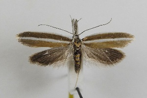  ( - MM27614)  @11 [ ] by-nc (2022) Jukka Tabell Unspecified