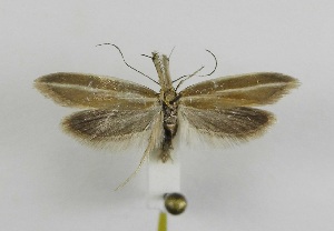  ( - MM27615)  @11 [ ] by-nc (2022) Jukka Tabell Unspecified