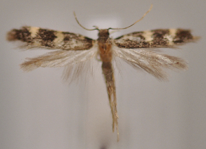  ( - MM27961)  @11 [ ] by-nc (2023) Jari Junnilainen Unspecified