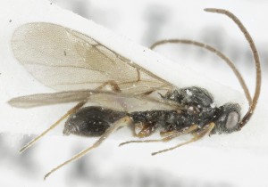  ( - MZH_GQ.5086)  @11 [ ] by-nc (2024) Simo Vaananen Luomus