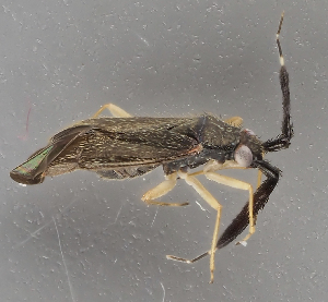  ( - NJ.304)  @11 [ ] by-nc (2024) Erkka Laine University of Oulu