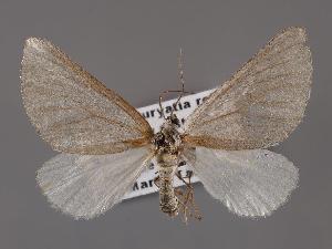  ( - MTah495)  @11 [ ] by-nc (2022) Marko Mutanen University of Oulu