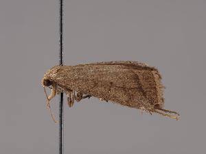  ( - MTah530)  @11 [ ] by-nc (2022) Marko Mutanen University of Oulu