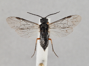  ( - ZMUO.045444)  @11 [ ] by-nc (2021) Marko Mutanen University of Oulu