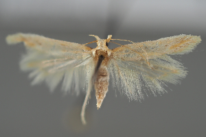  ( - ZMUO.107839)  @11 [ ] CreativeCommons - Attribution Non-Commercial Share-Alike (2025) Anssi Vahatalo University of Helsinki