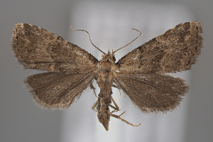  ( - ZMUO.108158)  @11 [ ] CreativeCommons - Attribution Non-Commercial Share-Alike (2025) Anssi Vahatalo University of Helsinki