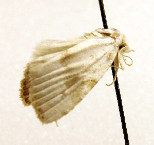  ( - MM19112)  @12 [ ] Unspecified (default): All Rights Reserved  Unspecified Unspecified