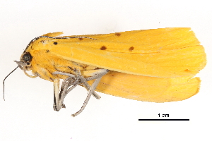  ( - BIOUG14394-E05)  @12 [ ] CreativeCommons - Attribution (2014) CBG Photography Group Centre for Biodiversity Genomics