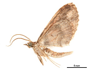  ( - BIOUG39661-H10)  @11 [ ] CreativeCommons - Attribution (2019) CBG Photography Group Centre for Biodiversity Genomics