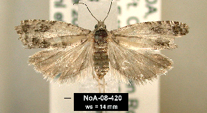  ( - NoA-08-420)  @13 [ ] Unspecified (default): All Rights Reserved  Unspecified Unspecified