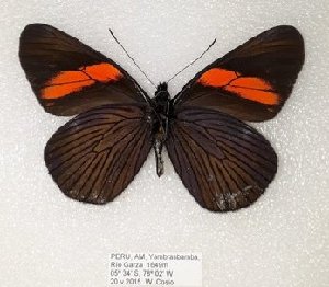  ( - AO-2018-065)  @11 [ ] CCby (2024) Mohamed Benmesbah Research collection of M. Benmesbah