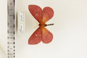  ( - CUA-24-27)  @11 [ ] CCby (2024) Mohamed Benmesbah Research collection of M. Benmesbah