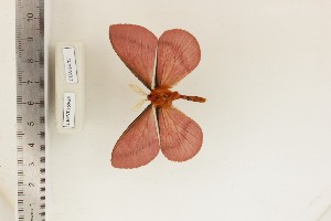  ( - CUA-24-27)  @11 [ ] CCby (2024) Mohamed Benmesbah Research collection of M. Benmesbah