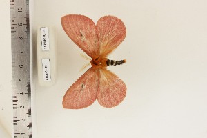  ( - CUA-24-28)  @11 [ ] CCby (2024) Mohamed Benmesbah Research collection of M. Benmesbah