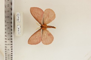  ( - CUA-24-28)  @11 [ ] CCby (2024) Mohamed Benmesbah Research collection of M. Benmesbah