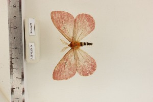  ( - CUA-24-32)  @11 [ ] CCby (2024) Mohamed Benmesbah Research collection of M. Benmesbah