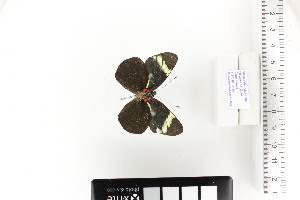  ( - CUA-24-64)  @11 [ ] CCby (2024) Mohamed Benmesbah Research collection of M. Benmesbah
