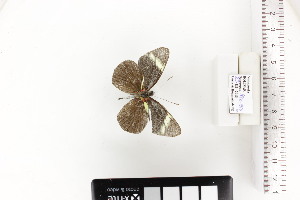  ( - SOR-18-01b)  @11 [ ] CCby (2024) Mohamed Benmesbah Research collection of M. Benmesbah