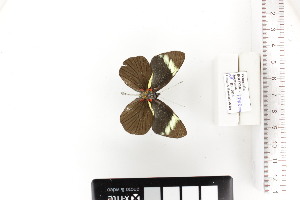  ( - SOR-18-02b)  @11 [ ] CCby (2024) Mohamed Benmesbah Research collection of M. Benmesbah