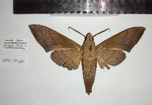  ( - SPH-19-20)  @11 [ ] CC-by (2023) Mohamed Benmesbah Research Collection of Mohamed Benmesbah