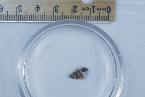  ( - BIOUG-48552-H05)  @11 [ ] Creative Commons - Attribution Non-Commercial Share-Alike  (2021) Jessica Schultz University of Guelph