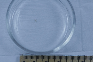  ( - BIOUG-48554-B09)  @11 [ ] Creative Commons - Attribution Non-Commercial Share-Alike  (2021) Jessica Schultz University of Guelph