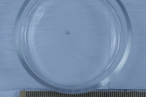  ( - BIOUG-48554-B10)  @11 [ ] Creative Commons - Attribution Non-Commercial Share-Alike  (2021) Jessica Schultz University of Guelph