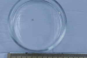  ( - BIOUG-48554-B11)  @11 [ ] Creative Commons - Attribution Non-Commercial Share-Alike  (2021) Jessica Schultz University of Guelph