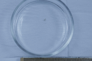  ( - BIOUG-48554-B12)  @11 [ ] Creative Commons - Attribution Non-Commercial Share-Alike  (2021) Jessica Schultz University of Guelph