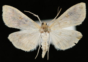  ( - UBC-2006-1893)  @14 [ ] Unspecified (default): All Rights Reserved  Unspecified Unspecified