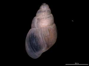  ( - 138157_01)  @11 [ ] Creative Commons BY NC SA (2025) University of Bergen Natural History Collections
