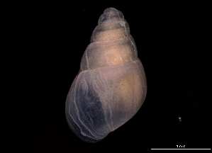  ( - 138157_03)  @11 [ ] Creative Commons BY NC SA (2025) University of Bergen Natural History Collections