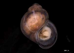  ( - 140748_02)  @11 [ ] Creative Commons BY NC SA (2025) University of Bergen Natural History Collections